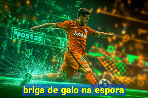 briga de galo na espora